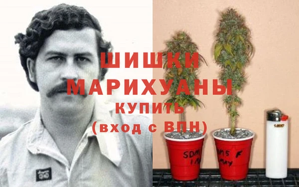 а пвп мука Алзамай
