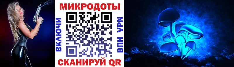 Псилоцибиновые грибы MAGIC MUSHROOMS  darknet как зайти  Орехово-Зуево  ОМГ ОМГ как войти 